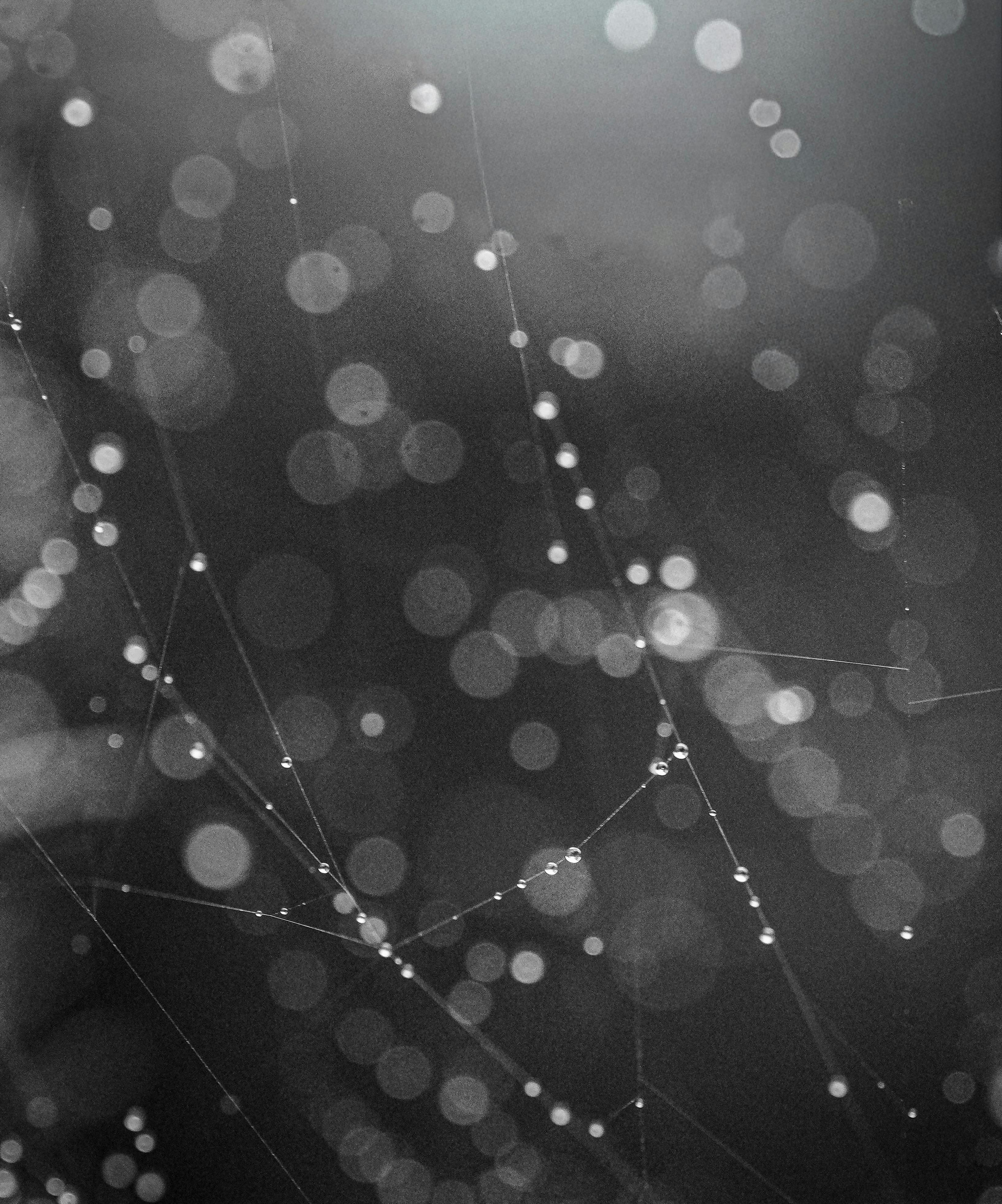 pexels-damir-34688486